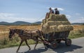 Dobrogea, romania, europe, rural landscape