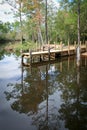 Dock on a Bayou