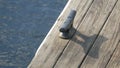 Dock cleat fastened to a floating dock