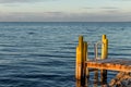 Dock and ladder into the Atlantic Ocean, Key Largo, Florida Royalty Free Stock Photo