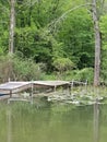 dock at lake