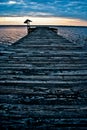 Dock leading out into the lake Royalty Free Stock Photo