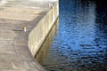 Dock at the lock for the addition of river cargo ships. metal bollards for mooring steel ropes on the navigation channel. waterfro