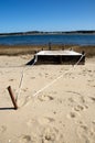 Dock at Low Tide