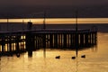 Dock on Okanagan Lake in Winter Royalty Free Stock Photo