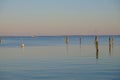 Dock pilings on Penobscot Bay inside the Rockland Breakwater and Royalty Free Stock Photo