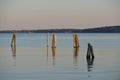Dock pilings on Penobscot Bay inside the Rockland Breakwater and Royalty Free Stock Photo