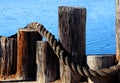 Dock Pilings with Rope Royalty Free Stock Photo