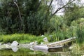 Dock at a quiet pond