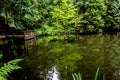 Dock on a Quiet Pond in the Woods.