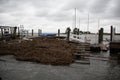 Dock Remains after Hurricane Sandy Royalty Free Stock Photo