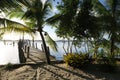 Dock, sand and plam trees at Sapinho island near Barra Grande, Brazil, South America
