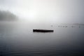 Dock Vanishes into the Fog