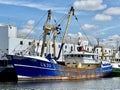 Docked fishing boat UK33 in the port of Urk.