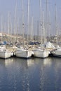 Docked sailboats