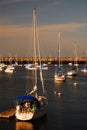 Docked Sailboats Royalty Free Stock Photo