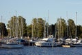 Docked yachts