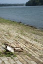 Docking chain on the levee Royalty Free Stock Photo