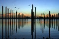 Docking poles at sunrise Royalty Free Stock Photo