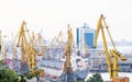 Dockyard cranes in Marine Trade Port Royalty Free Stock Photo