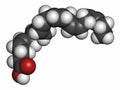 Docosahexaenoic acid (DHA, cervonic acid) molecule. Polyunsaturated omega-3 fatty acid present in fish oil. 3D rendering. Atoms