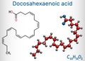 Docosahexaenoic acid, DHA, doconexent, cervonic acid molecule. It is omega-3 fatty acid. Structural chemical formula and molecule