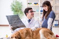 Doctor and assistant checking up golden retriever dog in vet cli Royalty Free Stock Photo