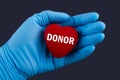 Doctor in blue gloves holds a heart with text Donor, concept