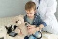 Doctor and boy patient examining teddy bear in Hospital. Royalty Free Stock Photo