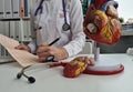 Doctor cardiologist examining electrocardiogram on background of artificial model