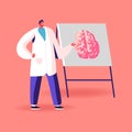 Doctor Character in White Medical Robe Pointing on Signboard with Human Brain Explain its Opportunities