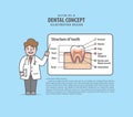 Doctor characters lecture about structure of tooth layout illustration vector on blue background. Dental concept. Royalty Free Stock Photo