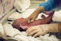 Doctor checks the newborn