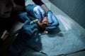 The doctor conducts the procedure of cleaning the teeth of a small dog