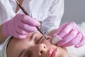 The doctor-cosmetologist makes the procedure treatment of Couperose of the facial skin of a beautiful, young woman in a beauty Royalty Free Stock Photo