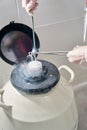 Doctor cryostorage puts biomaterial for vitrification into tank liquid nitrogen Royalty Free Stock Photo
