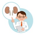 Doctor for a description of the kidney