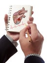 Doctor drawing heart beats cardiogram Royalty Free Stock Photo