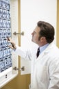 Doctor Examines Cat Scan Royalty Free Stock Photo