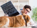 Doctor examining golden retriever dog in vet clinic Royalty Free Stock Photo