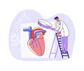 Doctor examining heart organ