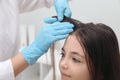 Doctor examining little girl`s hair indoors. Anti lice treatment Royalty Free Stock Photo