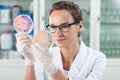 Doctor examining solution in Petri dishes Royalty Free Stock Photo