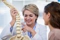 Doctor explaining anatomical spine to patient Royalty Free Stock Photo