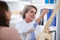 Doctor explaining anatomical spine to patient Royalty Free Stock Photo