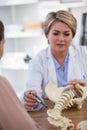 Doctor explaining anatomical spine to patient Royalty Free Stock Photo