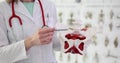 Doctor female gynecologist holds female pelvis with muscle model