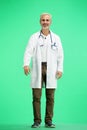 The doctor, in full height, on a green background Royalty Free Stock Photo