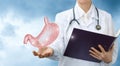 Doctor gastroenterologist shows the stomach . Royalty Free Stock Photo