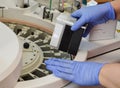 A doctor in gloves performs a cassette with a reagent for performing studies in the analyzer. setting up a calibrator and controls Royalty Free Stock Photo